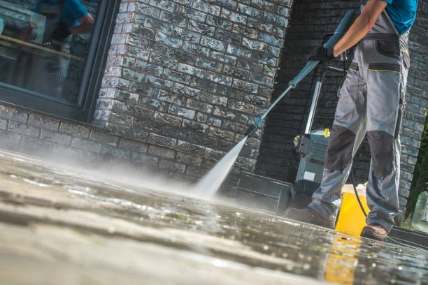 Best Roof Washing  in Northumberland, PA